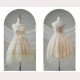 Dried Rose Gothic Lolita Style Dress JSK set by Urtto (UR16)